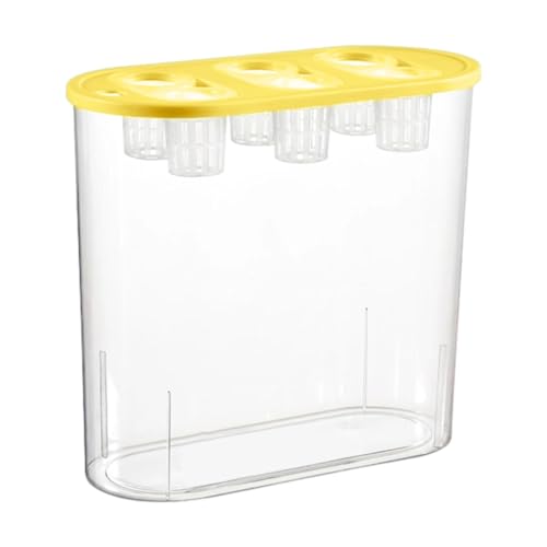 Colcolo Hydroponics Grower Box System Pflanzbehälter 6 Löcher Einfach zu verwendende transparente Pflanzbox für Zuhause, Gelb von Colcolo