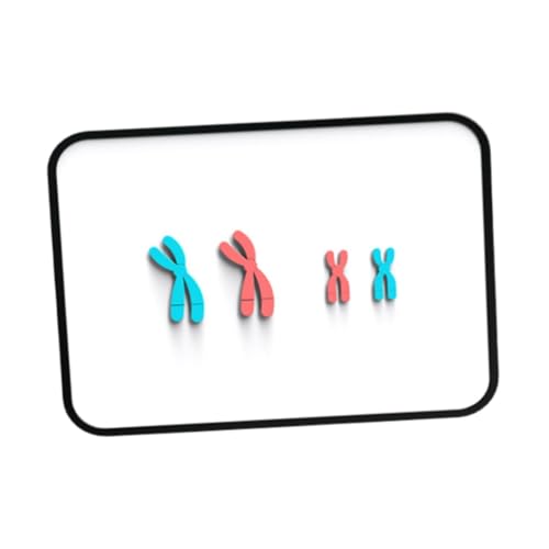 Colcolo Meiose Chromosom Veränderungen Modelllernwerkzeuge Biologie Meiose Model Demonstration Kit Unterrichtshilfen für Schulschüler, Rot Blau Colcolo Meiose Chromosom Veränderungen Modelllernwerkzeuge Biologie Meiose Model Demonstration Kit Unterrichtshilfen für Schulschüler, Rot Blau von Colcolo