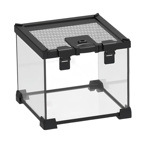 Colcolo Mini-Reptilien-Terrarium, kleine Amphibien, Lebensraumkäfig, Reptiliengehege, Terrarium, Zuchtbox für Cricket-Sling-Geckos Colcolo Mini-Reptilien-Terrarium, kleine Amphibien, Lebensraumkäfig, Reptiliengehege, Terrarium, Zuchtbox für Cricket-Sling-Geckos von Colcolo