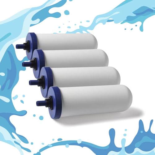 Coldstream Ersatz-Wasserfilter, 4 Stück von Coldstream