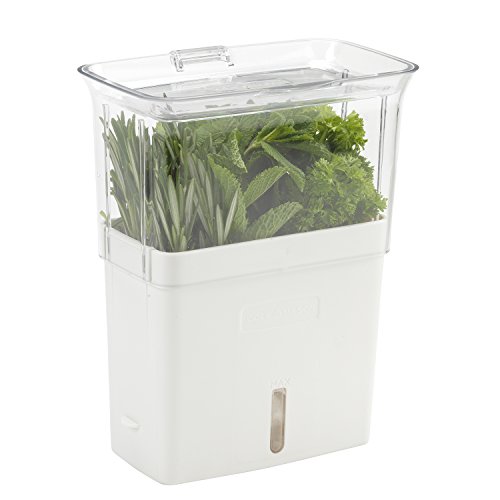 Cole & Mason Tealby Kräutertopf für frische Kräuter, Schnittkräuter Box/Schnittkräuterbox/Kräuterbox Küche, Acryl, Halten Sie Kräuter Länger Frisch, 2 Jahre Garantie von Cole & Mason