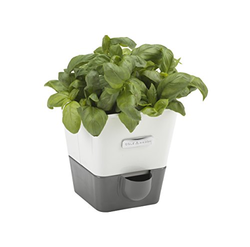 Cole & Mason Burwell Kräutertopf Selbstbewässernd, Kräutertopf Balkon/Kräutergarten für die Küche/Für Frische Küchenkräuter, Enthält 4 x Pads, von Cole & Mason