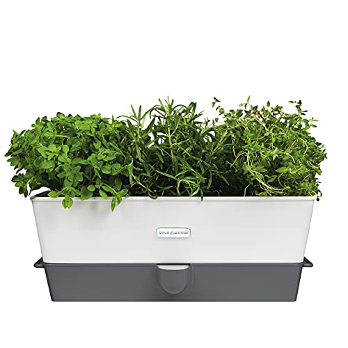 Cole & Mason Burwell 3-Fach Kräutertopf Selbstbewässernd, Kräutertopf Balkon/Kräutergarten für die Küche/Für Frische Küchenkräuter, Enthält 12 x Pads von Cole & Mason