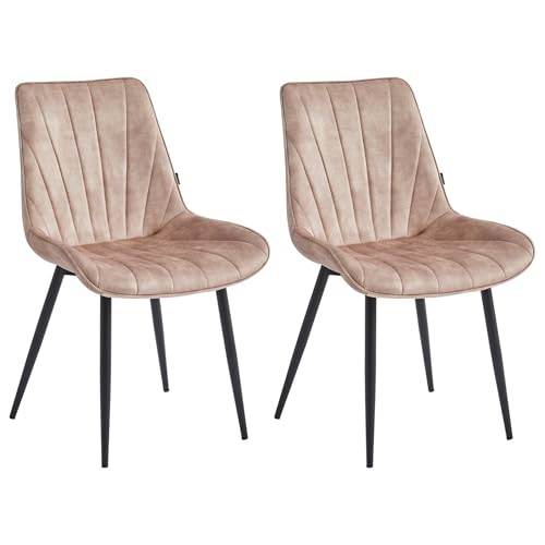 Colenis Esszimmerstühle 2er Set, Küchenstühle Esszimmerstuhl Samtstuhl mit Rückenlehne, Sitzfläche Adoré Samt, Metallbeine, bis 120 kg, für Küche Wohnzimmer Esszimmer, Champagne, Lesedi von Colenis