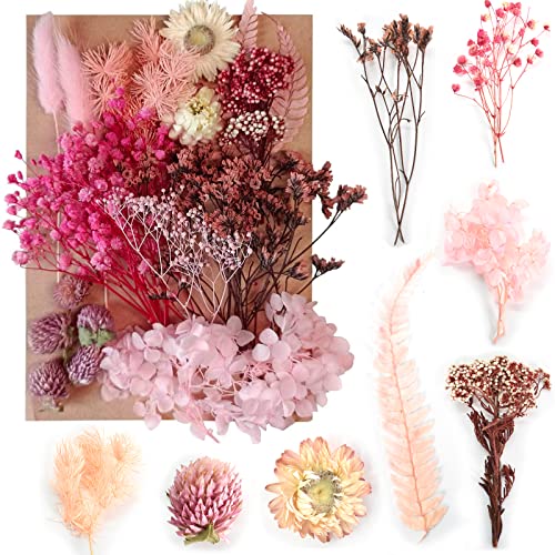 Colexy Natürliche Getrocknete Blumen, DIY Natürliche Trockenblumen Set Blumen Natürliche Gemischte für Kunst Basteln DIY Scrapbook Zubehör Epoxidharz Formen Handwerk Karten Machen (Rosa) von Colexy