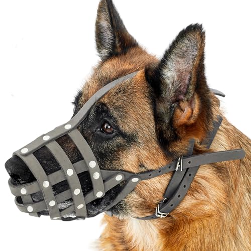 CollarDirect Maulkorb für Hunde, Deutscher Schäferhund, Dalmatiner, Dobermann, Setter, Lederkorb, mittelgroß, für große Rassen, Schwarz, Braun, Rosa, Grau (M, Grau) von CollarDirect