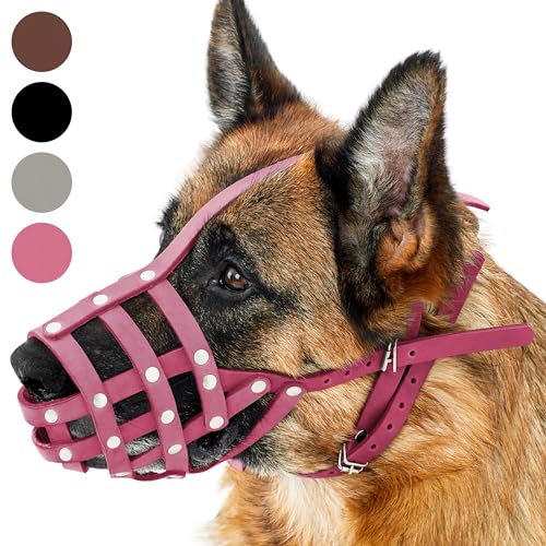 CollarDirect Maulkorb für Hunde, Deutscher Schäferhund, Dalmatiner, Dobermann, Setter, Lederkorb, mittelgroß, für große Rassen, schwarz, braun, rosa, grau (M, Pink) von CollarDirect