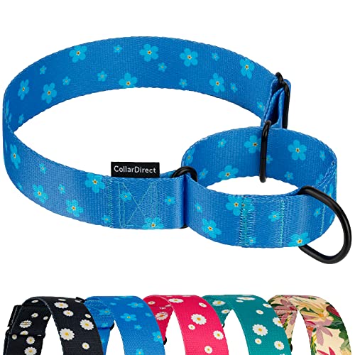 CollarDirect Martingale Halsbänder für Hunde, strapazierfähig, Blumenmuster, weiblich, Sicherheit, Nylon, Training, breites Halsband, Blumendesign (Blaue Gänseblümchen, 38-50 cm) von CollarDirect
