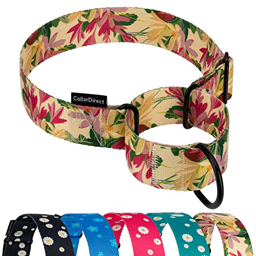 CollarDirect Martingale Halsbänder für Hunde, strapazierfähig, Blumenmuster, weiblich, Sicherheit, Nylon, Training, breites Halsband, Blumendesign (Toffee Gänseblümchen, 38-50 cm) von CollarDirect