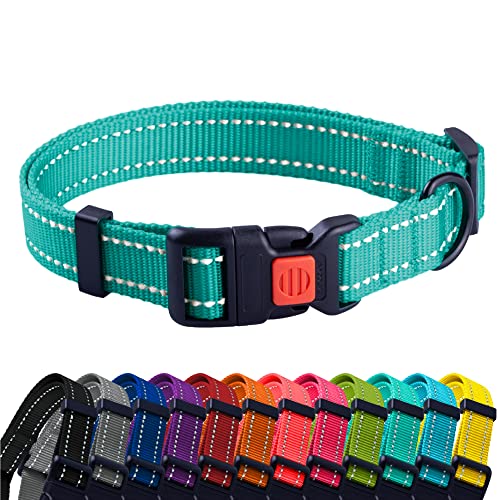 CollarDirect Reflektierendes Hundehalsband für kleinen, mittelgroßen, großen Hund, Welpen mit Schnellverschluss, Hündin, Rüde, 48 Sorten, Nylon Wasserfest CollarDirect Reflektierendes Hundehalsband für kleinen, mittelgroßen, großen Hund, Welpen mit Schnellverschluss, Hündin, Rüde, 48 Sorten, Nylon Wasserfest von CollarDirect