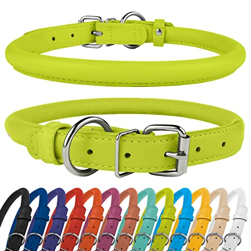 CollarDirect Hundehalsband aus gerolltem Leder, weich gepolstertes rundes Welpenhalsband, handgefertigtes Halsband aus echtem Leder für kleine und große Katzen, (16-18 Zoll, Lime Green Textured) CollarDirect Hundehalsband aus gerolltem Leder, weich gepolstertes rundes Welpenhalsband, handgefertigtes Halsband aus echtem Leder für kleine und große Katzen, (16-18 Zoll, Lime Green Textured) von CollarDirect