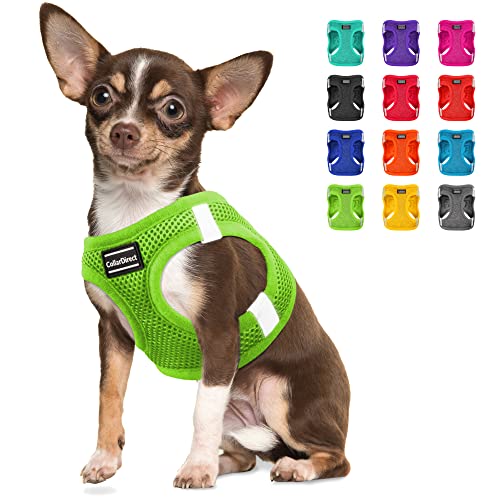 CollarDirect Step-in Reflektierendes Hundegeschirr - jedes Wetter Air Mesh für kleine und mittelgroße Hunde Einfaches An- und Ausziehen (Größe M, Limettengrün) von CollarDirect