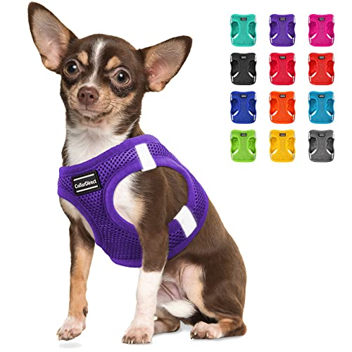 Step-in Hundegeschirr (Größe S, Farbe Violett) von CollarDirect