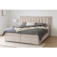 COLLECTION AB Boxbett "ATHENA inkl. Bettkasten, erhältlich in der Breite 180cm", erhältlich in verschiedenen Härtegraden, inkl. Topper COLLECTION AB Boxbett "ATHENA inkl. Bettkasten, erhältlich in der Breite 180cm", erhältlich in verschiedenen Härtegraden, inkl. Topper von Collection Ab
