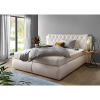 COLLECTION AB Boxspringbett, inklusive Bettkasten, LED-Beleuchtung und Topper von Collection Ab