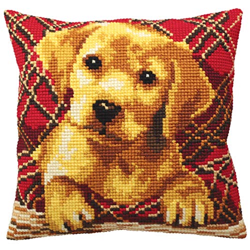 Collection d'Art Brandy - Hund, Multi, 40 x 40 cm von Collection D'Art