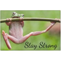 36"x24" Stay Strong Frosch Hängend Von Gliederbereich Teppich von ColleensOutpost