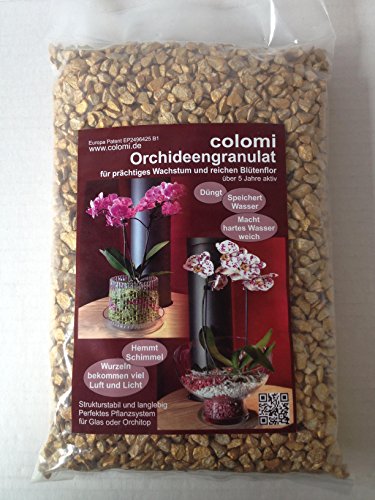 Orchideengranulat 1 l fein gold Colomi Substrat Korngröße 4-8 mm von Colomi