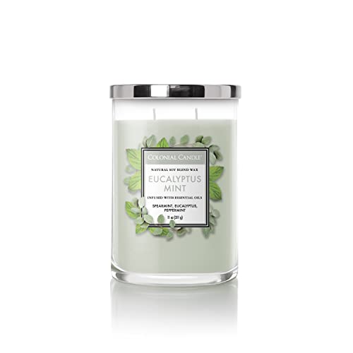 Colonial Candle 2-Docht Duftkerze im Glas mit Deckel - Eucalyptus Mint (311g) - Der Erfrischende Wohlfühlduft für dein Zuhause - Duftkerze mit bis zu 40h Brenndauer - Sojawachsmischung von Colonial Candle