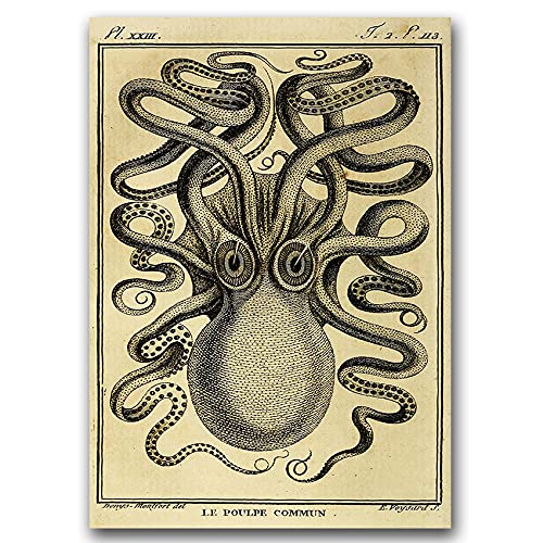 Vintage Posteria Poster Bild Bilder Anschlag Deko Ohne Rahmen WandKunst Posters Moderne Zimmer Wandbilder Schlafzimmer Wand Kunst 30x40 cm Vintage - Octopus Haeckel Ernst. von Coloray