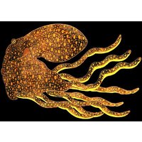 Glänzender Brauner Oktopusdruck. Meereskunst - Meeresleben Tier Ozean Druck Kunst Für Kinder Illustration Kunstdruck Wanddekoration Kinderzimmer von ColourfulCreaturesUK