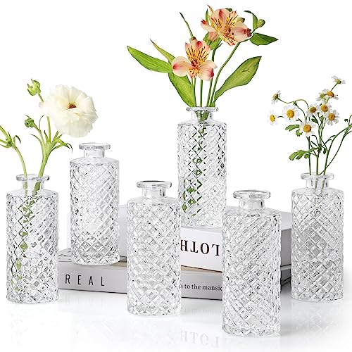 ComSaf Vase klein-Set, 6 Stück, Glasvase, Kleine Diamant Knospenvasen, Mini Blumenvasen, Kleine Vasen für Tischdeko, Badezimmer deko, Hochzeitsdeko, Deko Vasen Set, Oma Geschenk, Transparent von ComSaf