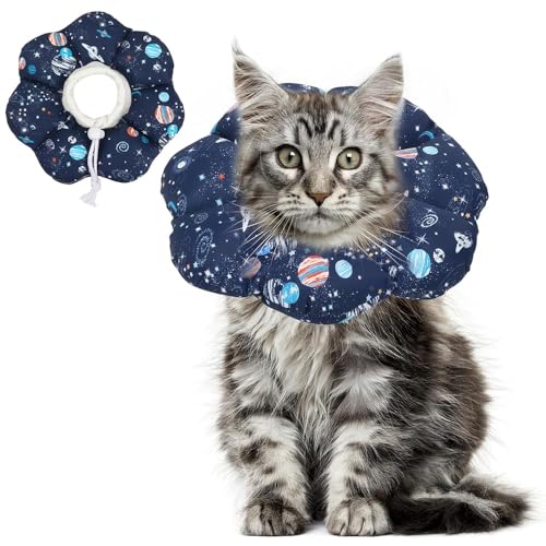 ComSaf Halskrause Katze Weich für Kleine Katzen，Halskrausen für Katzen Schützend und Verstellbar Nach Operationen, Komfortabler Leichter Elizabethan Behindert Nicht die Sicht, M von ComSaf