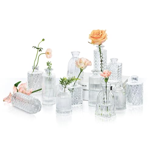 ComSaf Kleine Glasvase Set of 12, kleine vasen für tischdeko, Decorations, Wedding Decor, Recepetion, Home, Vintage-Flasche für Tischdekoration, Transparent von ComSaf