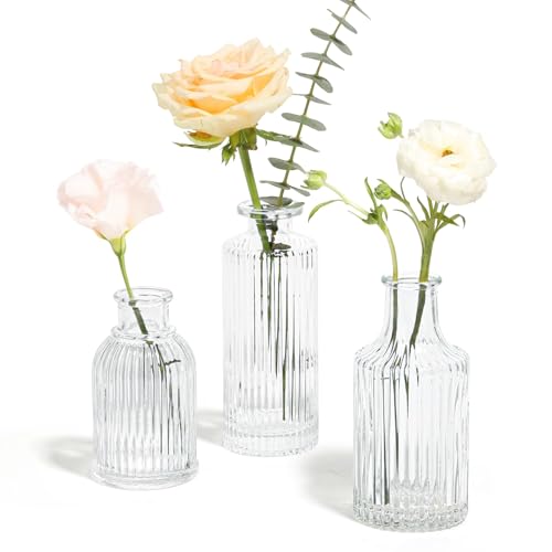 Comsaf Kleine Vasen Deko für Tischdeko-3er Set, Mini Glasvase, Klar Blumenvasen Glas für Tischdeko Hochzeit, Party, Rosen, Tulpen, Verschiedene Größen, Transparent von ComSaf