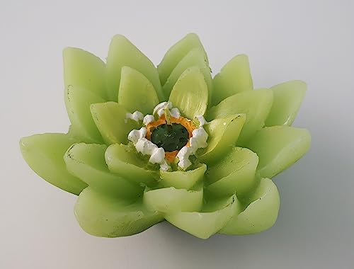 Grüne Lotusblüte Kerze 9 cm von Comarco Sa