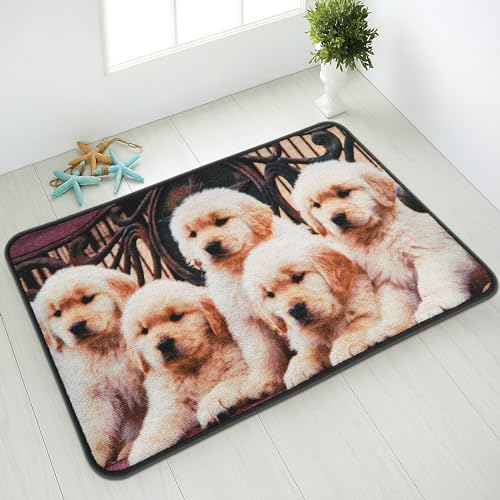 Comart, Teppich Mio d'Decor, für Wohnzimmer, Badezimmer, Schlafzimmer, Digitaldruck, Hundewelpen Golden Beige, 80 x 120 cm von Comart