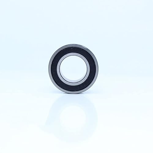 Comcapy 1 PC 3902-2RS Lager 15 * 28 * 10 mm 3902 2RS Doppelreihe versiegelt 3902 Rs Winkelkugellager von Comcapy