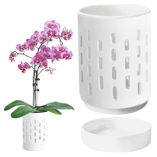 Comebachome Orchideentöpfe mit Löchern, 4 -Zoll -Keramik -Orchideen -Topf mit Untertasse, kleine Orchideentöpfe zum Wiederholung von Comebachome