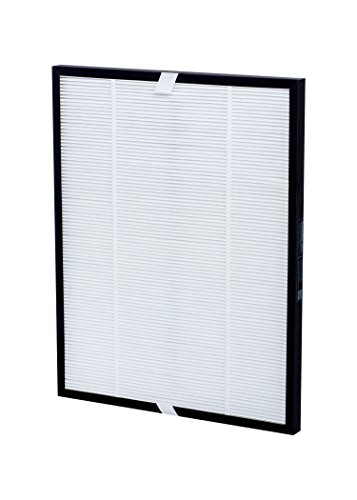 Comedes Ersatz Kombi-Filter kompatibel mit De'Longhi AC75 Luftreiniger | einsetzbar statt DeLonghi 5513710001 Filterset (1) von Comedes