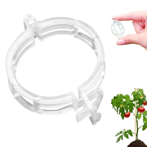 ComedyKing Secured Plastic Plant Clips, Pflanzenclips, Gesicherter Pflanzen Kunststoff Clip, Tomatenklammern, Pflanzenklammern Klein für Halten Garten Pflanzen Blumen Gemüsefrucht (100, Transparent) von ComedyKing