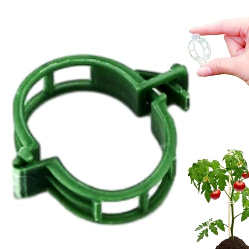 ComedyKing Secured Plastic Plant Clips, Pflanzenclips, Gesicherter Pflanzen Kunststoff Clip, Tomatenklammern, Pflanzenklammern Klein für Halten Garten Pflanzen Blumen Gemüsefrucht (150, Grün) von ComedyKing