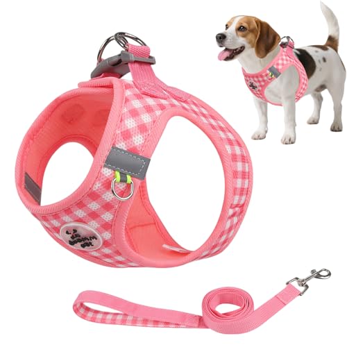 Hundegeschirr und Leine, atmungsaktives Netzgewebe, reflektierend, kein Ziehen, mit Sicherheitsschnalle, ausbruchsicher, kein Würgen, Katzengeschirr, 360° umlaufende Passform, geeignet für kleine von Comforso