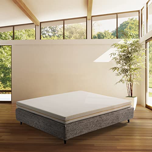 Comfy Line Matratze für Doppelschlafsofa 170 x 180 x 10 cm, faltbar, mit orthopädischem Schaumstoff, Abnehmbarer Bezug, frische und atmungsaktive Baumwolle, hergestellt in Italien Comfy Line Matratze für Doppelschlafsofa 170 x 180 x 10 cm, faltbar, mit orthopädischem Schaumstoff, Abnehmbarer Bezug, frische und atmungsaktive Baumwolle, hergestellt in Italien von Comfy Line