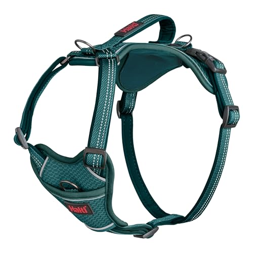 HALTI Anatomy Hundegeschirr mit Griff – Bewegungsfreiheit für deinen Hund. 3 Verbindungspunkte für die Leine, Neoprenpolsterung, verstellbar und reflektierend (Größe S, Blaugrün) HALTI Anatomy Hundegeschirr mit Griff – Bewegungsfreiheit für deinen Hund. 3 Verbindungspunkte für die Leine, Neoprenpolsterung, verstellbar und reflektierend (Größe S, Blaugrün) von Halti