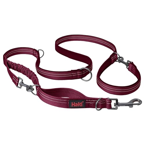 HALTI Anatomy Multifunktionsleine – Doppelführleine mit Zwei Karabinern und Ruckdämpfer, ideal zum Gassigehen & Hundetraining. Reflektierend & leicht. Geeignet für Welpen (Größe L, Magenta) von Halti