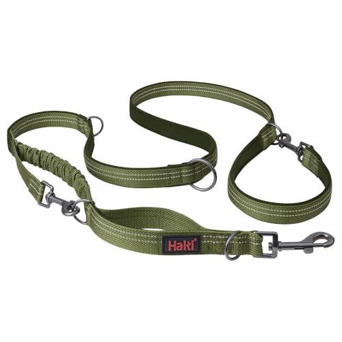 HALTI Anatomy Multifunktionsleine – Doppelführleine mit Zwei Karabinern und Ruckdämpfer, ideal zum Gassigehen & Hundetraining. Reflektierend & leicht. Geeignet für Welpen (Größe L, Grün) von Halti