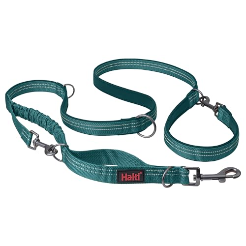 HALTI Anatomy Multifunktionsleine – Doppelführleine mit zwei Karabinern und Ruckdämpfer, ideal zum Gassigehen & Hundetraining. Reflektierend & leicht. Geeignet für Welpen (Größe S, Blaugrün) von Halti
