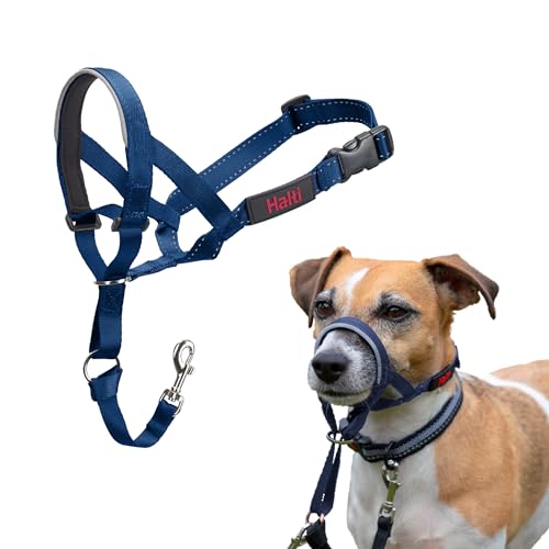 HALTI Kopfgeschirr - Verhindert, dass Ihr Hund an der Leine zieht, Einfache Anpassung, Leicht, mit gepolstertem Nasenriemen, Anti-Zug-Halsband für kleine Hunde (Größe 1, Kobaltblau) HALTI Kopfgeschirr - Verhindert, dass Ihr Hund an der Leine zieht, Einfache Anpassung, Leicht, mit gepolstertem Nasenriemen, Anti-Zug-Halsband für kleine Hunde (Größe 1, Kobaltblau) von Halti
