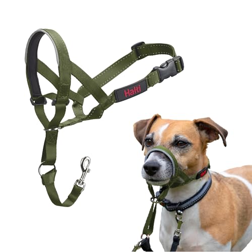 HALTI Kopfgeschirr - Verhindert, dass Ihr Hund an der Leine zieht, Einfache Anpassung, Leicht, mit gepolstertem Nasenriemen, Anti-Zug-Halsband für kleine Hunde (Größe 1, Waldgrün) HALTI Kopfgeschirr - Verhindert, dass Ihr Hund an der Leine zieht, Einfache Anpassung, Leicht, mit gepolstertem Nasenriemen, Anti-Zug-Halsband für kleine Hunde (Größe 1, Waldgrün) von Company of Animals