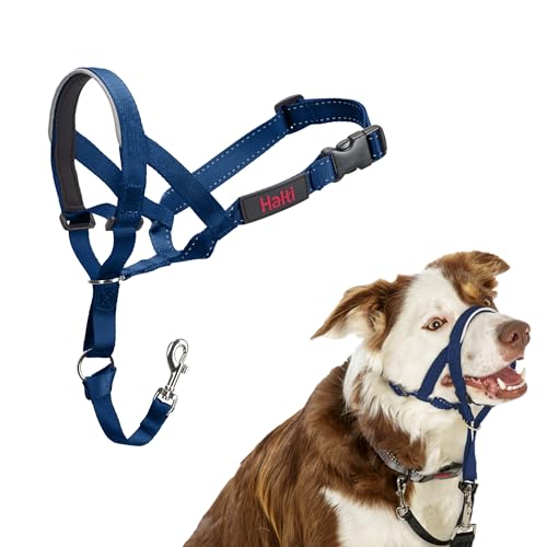 HALTI Kopfgeschirr - Verhindert, dass Ihr Hund an der Leine zieht, Einfache Anpassung, Leicht, mit gepolstertem Nasenriemen, Anti-Zug-Halsband für mittelgroße Hunde (Größe 2, Kobaltblau) HALTI Kopfgeschirr - Verhindert, dass Ihr Hund an der Leine zieht, Einfache Anpassung, Leicht, mit gepolstertem Nasenriemen, Anti-Zug-Halsband für mittelgroße Hunde (Größe 2, Kobaltblau) von Halti
