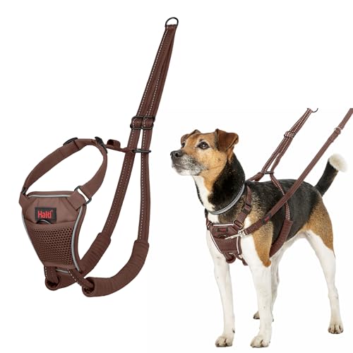 HALTI No Pull Anti-Zug Geschirr - Verhindert, dass Ihr Hund an der Leine zieht, Gepolsterter Brust- und Beingurt, Reflektierendes Gurtmaterial, Einfache Anpassung und Benutzung(Größe XS, Walnussbraun) von Halti