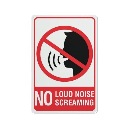 Metallschild "No Loud Noise No Screaming", 30,5 x 20,3 cm, rostfreies Aluminium, mehrfarbig von Compladeta