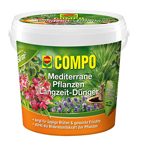 COMPO Mediterrane Pflanzen Langzeit-Dünger (1,5 kg) von Compo