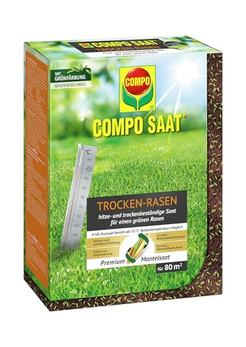 COMPO SAAT Trocken-Rasen, Hitze- und trockenverträgliche Rasensamen/Grassamen für trockene und sonnige Standorte, 2 kg, 80 m² von Compo