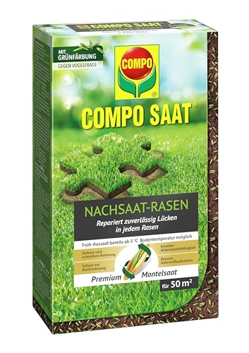 COMPO SAAT Nachsaat-Rasen, Rasensamen / Grassamen, Spezielle Nachsaat-Mischung mit wirkaktivem Keimbeschleuniger, 1 kg, 50 m² von Compo
